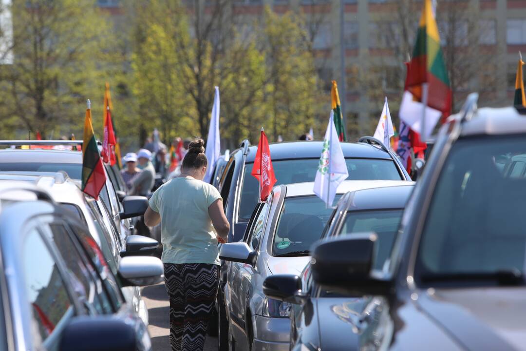 „Didžiojo šeimos gynimo maršo“ dalyvių pasiruošimas Akademijoje