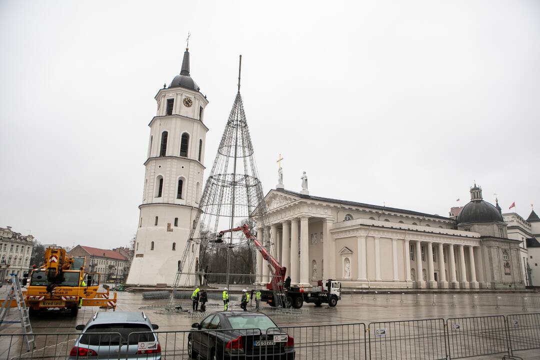 Katedros aikštėje pradėta statyti Vilniaus Kalėdų eglė