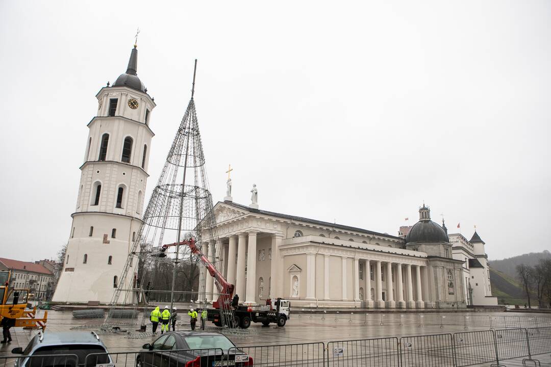 Katedros aikštėje pradėta statyti Vilniaus Kalėdų eglė