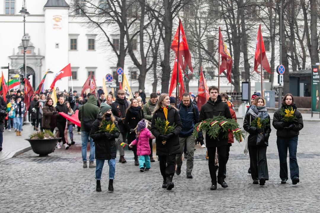 Eisena „Lietuvos valstybės keliu“