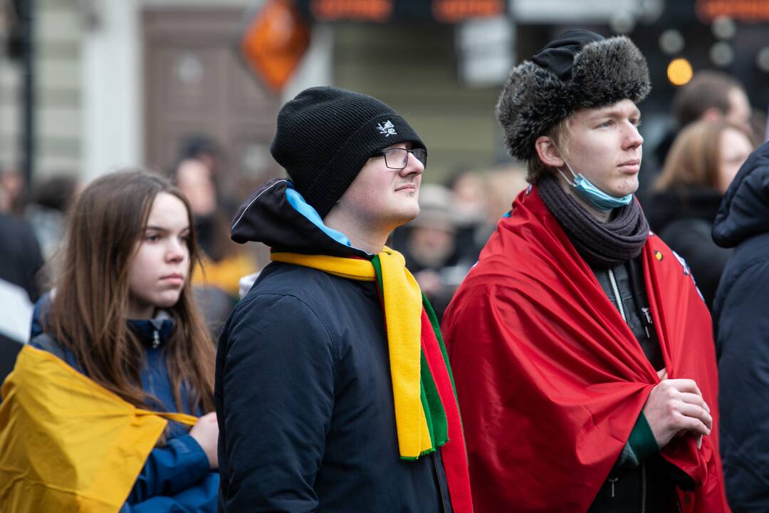 Eisena „Lietuvos valstybės keliu“