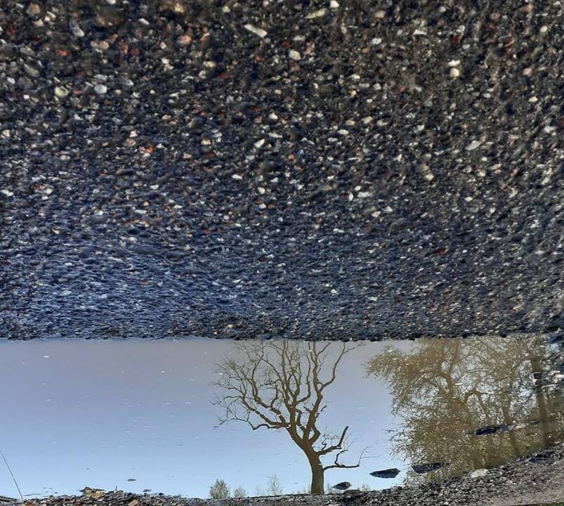 Hobis: Viliaus Alesiaus pietų pertraukos užsipildė nauju atradimu – balų ieškojimu ir fotografavimu.