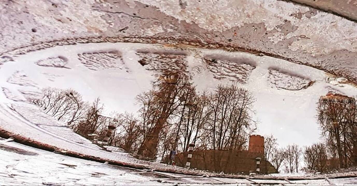 Hobis: Viliaus Alesiaus pietų pertraukos užsipildė nauju atradimu – balų ieškojimu ir fotografavimu.