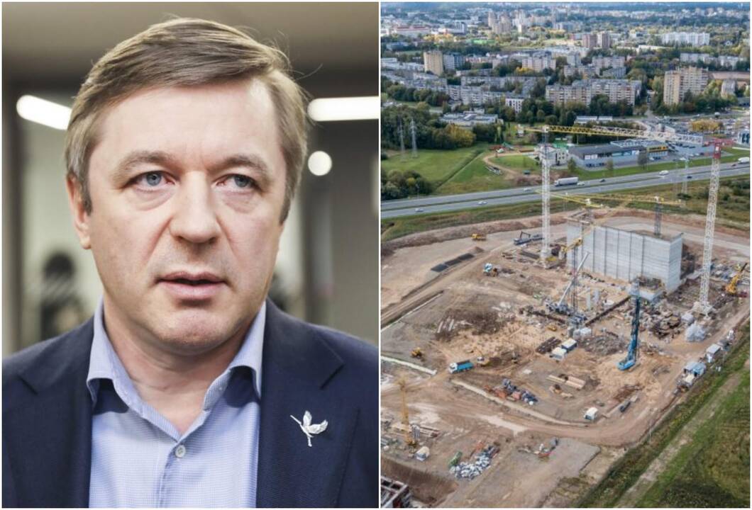 R. Karbauskis apie jėgaines: Konstitucinio Teismo sprendimas yra šiek tiek keistas