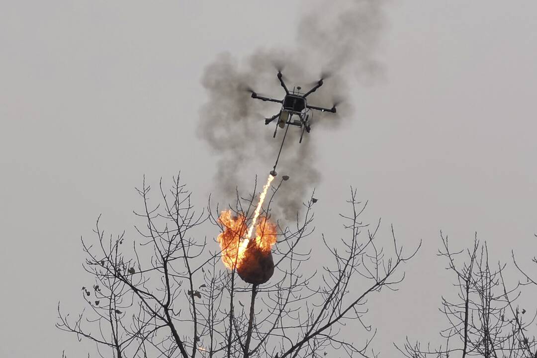 Kinijoje skraidantis dronas liepsnosvaidis naikina vapsvų lizdus
