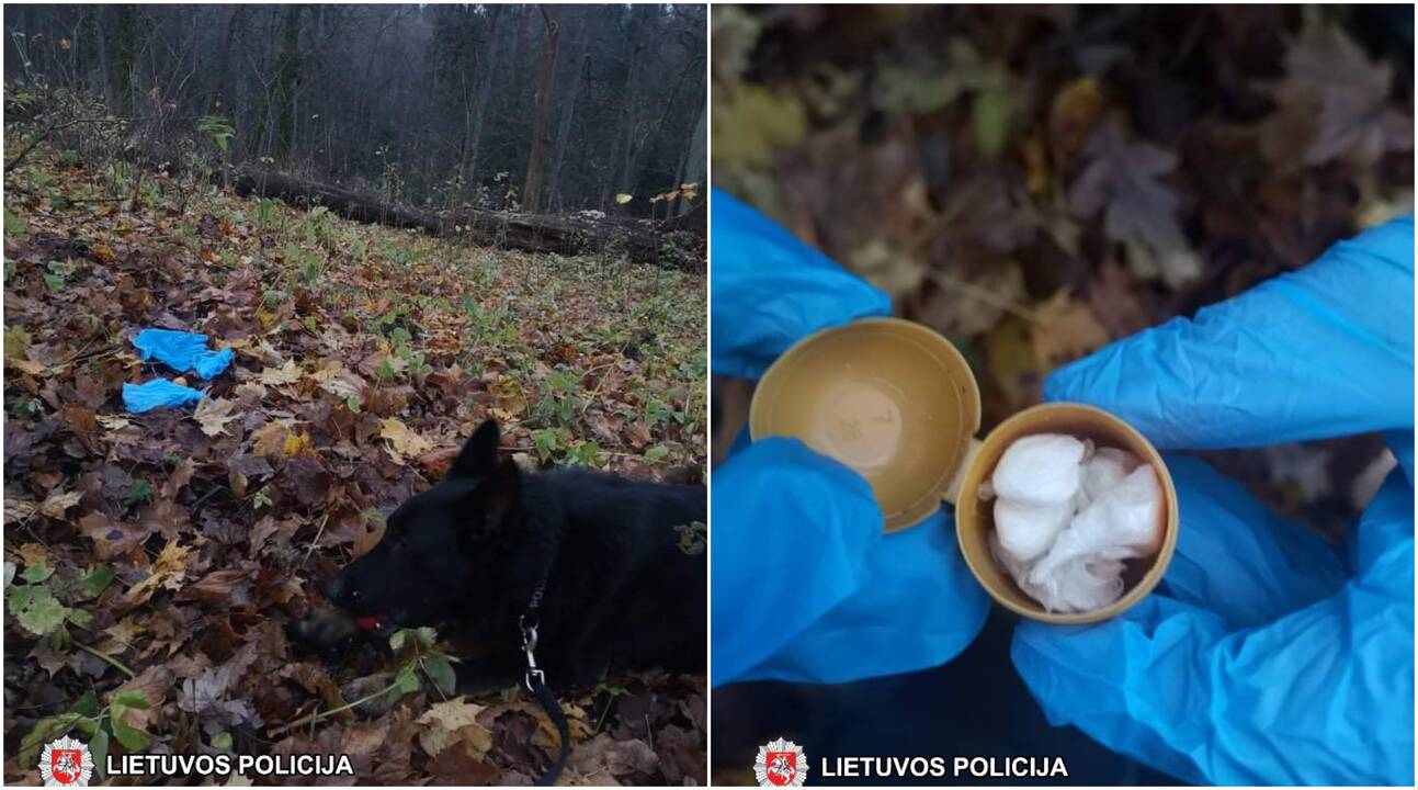 Tarnybinio šuns Enzo uoslė neapgavo – narkotines medžiagas aptiko krūmuose