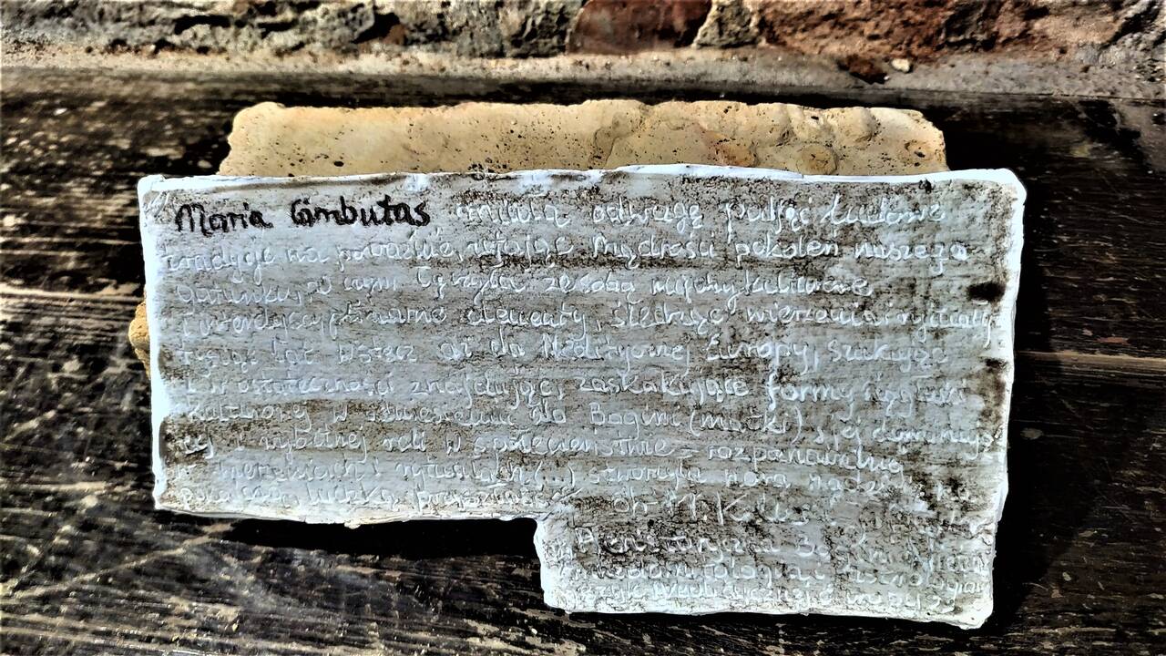 Živilė Bardzilauskaitė-Bergins. Prisiminimas iš dabarties.