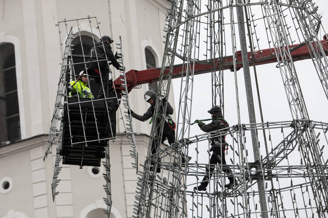 Katedros aikštėje pradėta statyti Vilniaus Kalėdų eglė