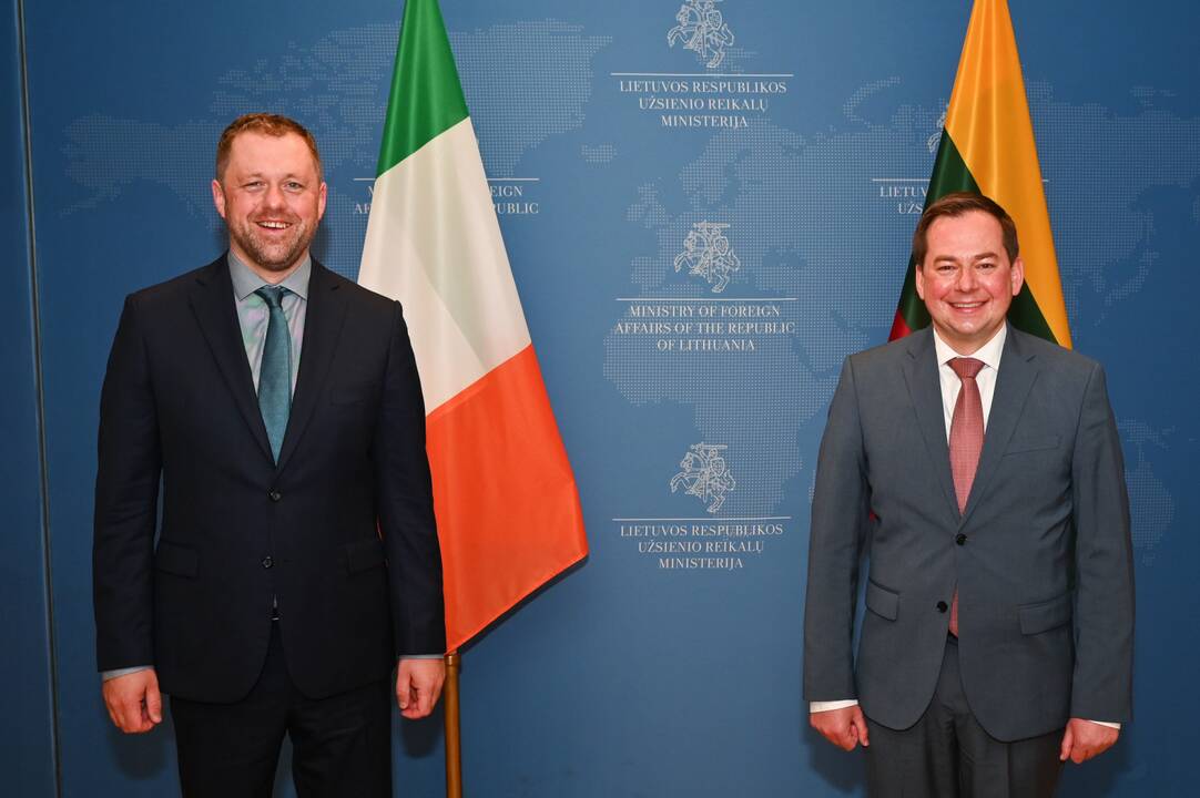 Užsienio reikalų viceministras A. Pranckevičius ir Airijos valstybės ministras Europos reikalams Th. Byrne.