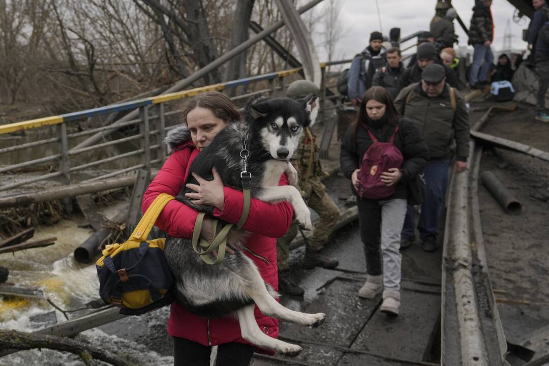Dešimtoji karo Ukrainoje diena
