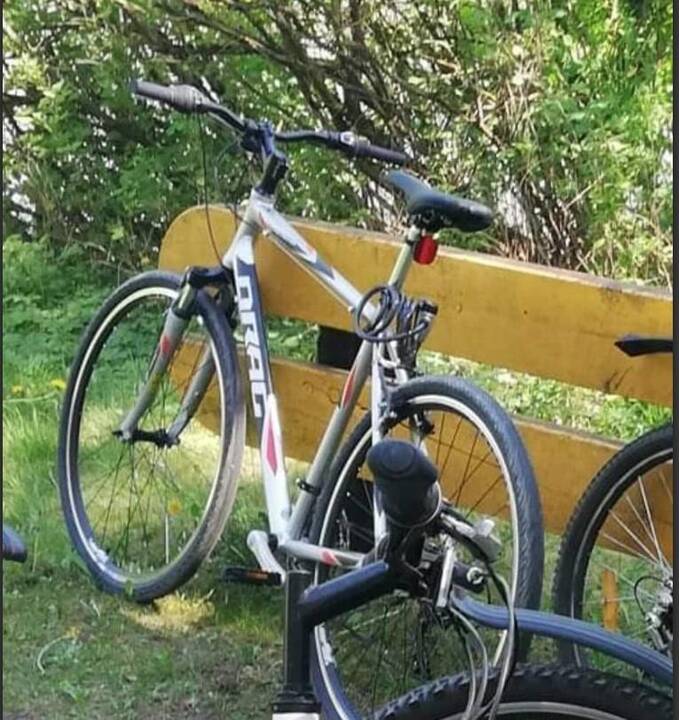 Alytuje pavogtas dviratis – policija prašo pagalbos