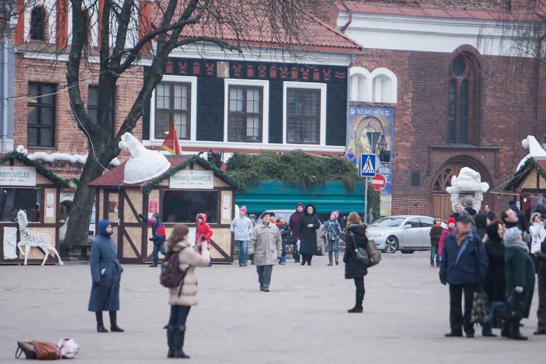 Eglučių šakų dalinimas Rotušės aikštėje