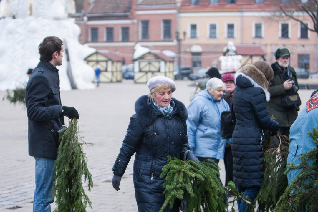 Eglučių šakų dalinimas Rotušės aikštėje