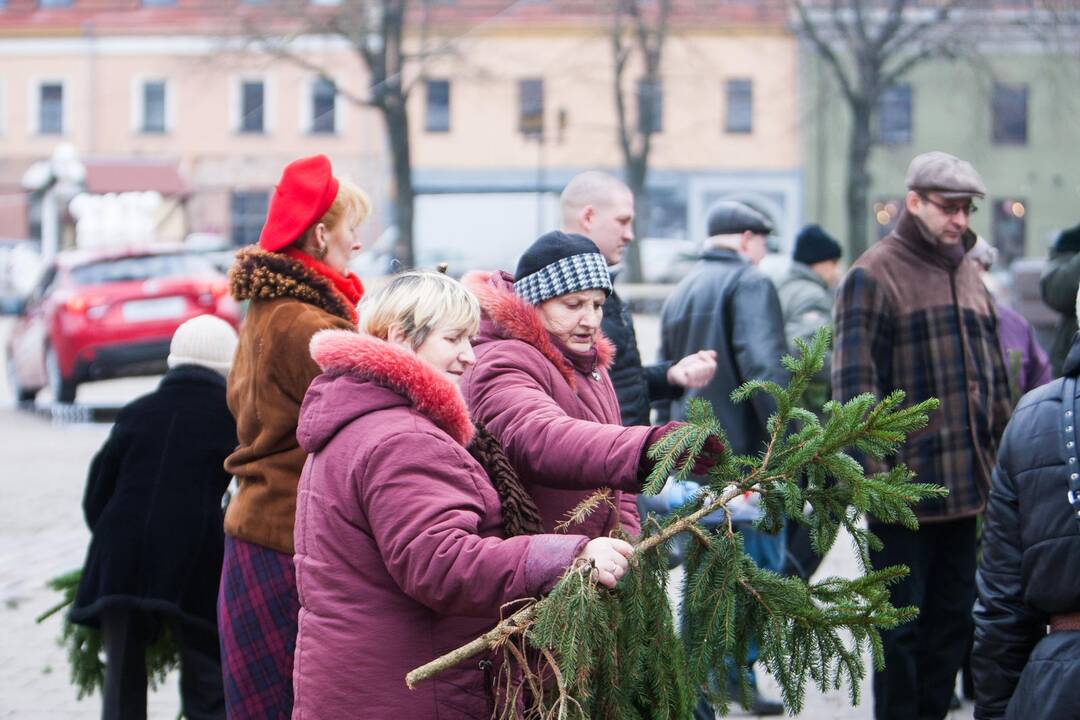 Eglučių šakų dalinimas Rotušės aikštėje