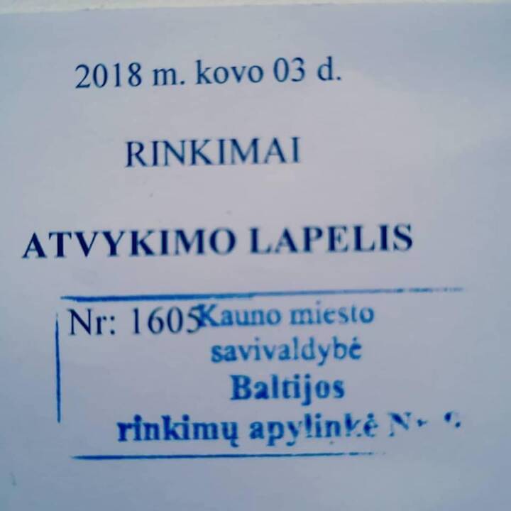 Nustebino supainiota data: kodėl rinkimai vyksta pernai?