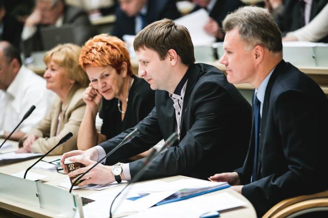 Kodėl būtina remti privačius darželius?
