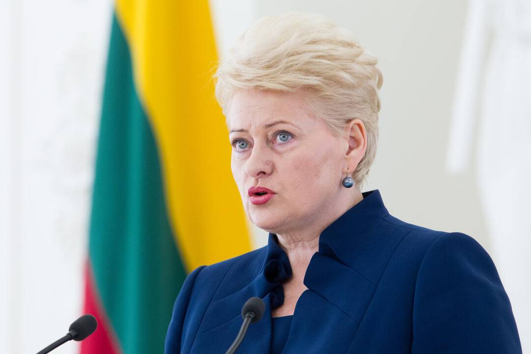 D. Grybauskaitė: Lietuva įrodė, kad gali viena pastatyti SGD terminalą