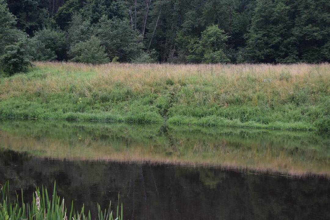 Pažeidėjams į Lietuvą patekti nesutrukdė net pakilęs Šešupės vanduo