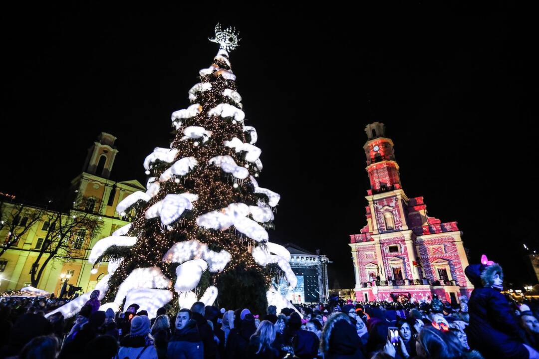 Rotušės aikštėje įžiebta įspūdinga Kalėdų eglė