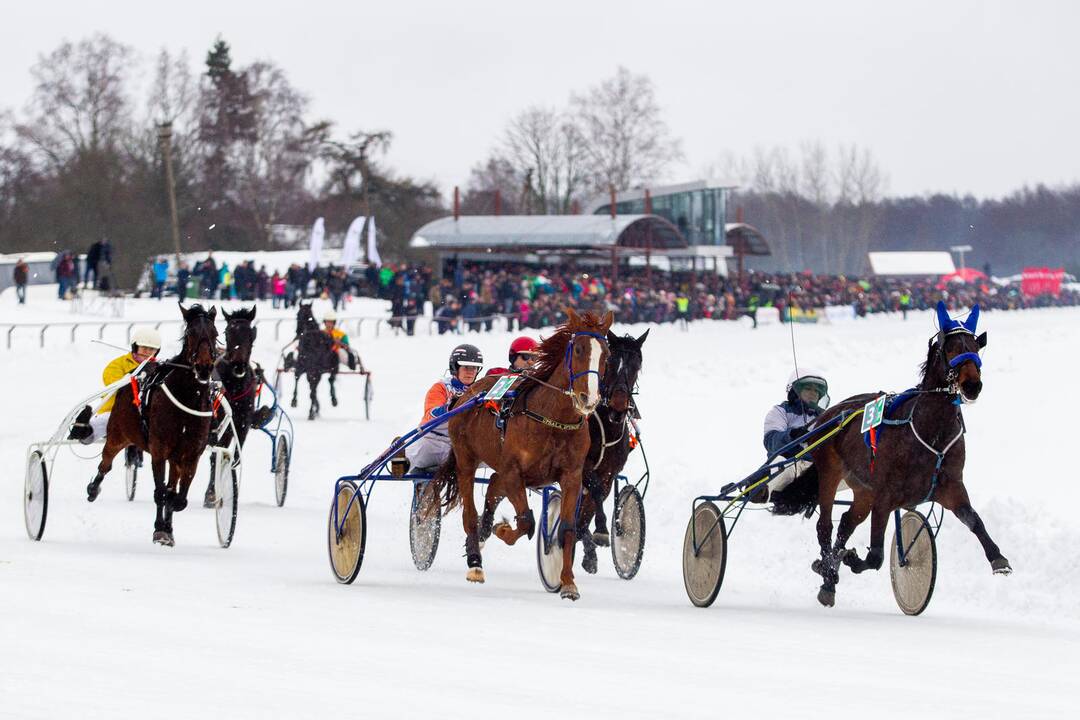 Tradicinės žirgų lenktynės „Sartai 2019“