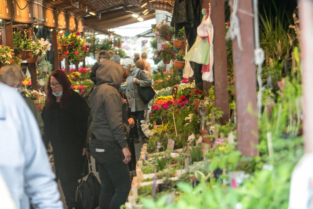 Stoties turgavietės prekybininkai vis dar laukia pirkėjų