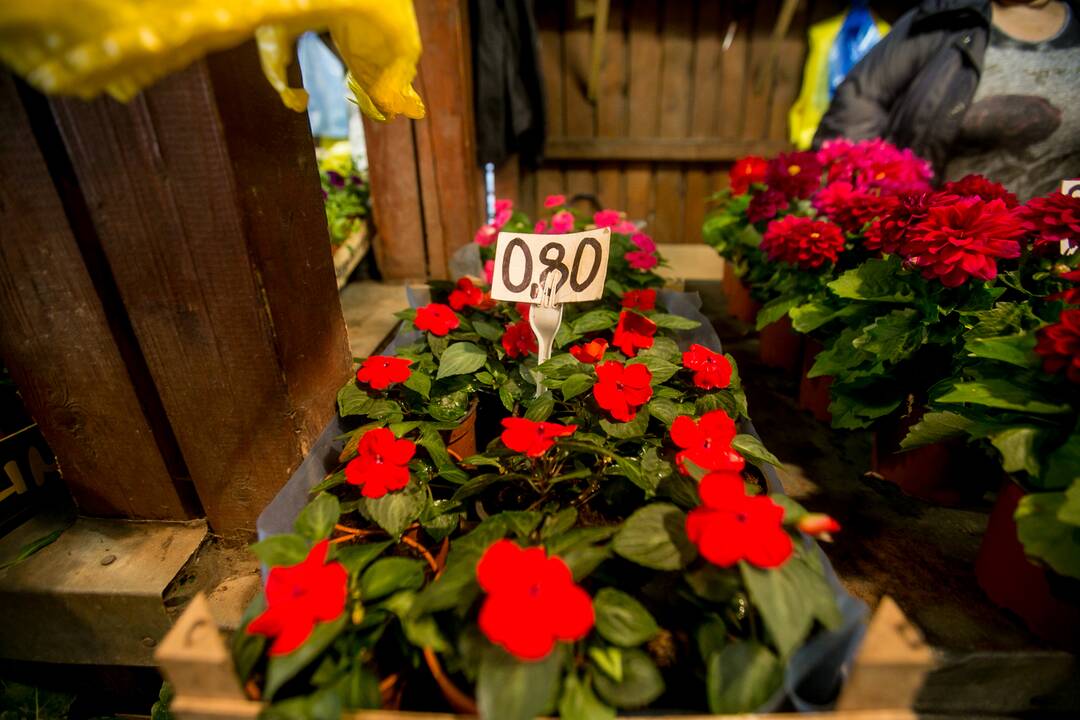 Stoties turgavietės prekybininkai vis dar laukia pirkėjų
