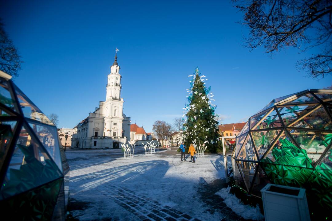 Kauniečiai leidžia laiką stebuklingame Kalėdų sode