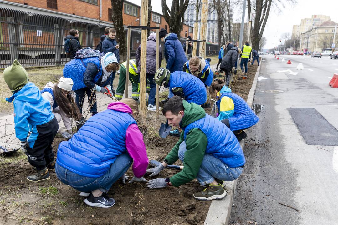 Vilniečiai kyla į Žaliąją bangą