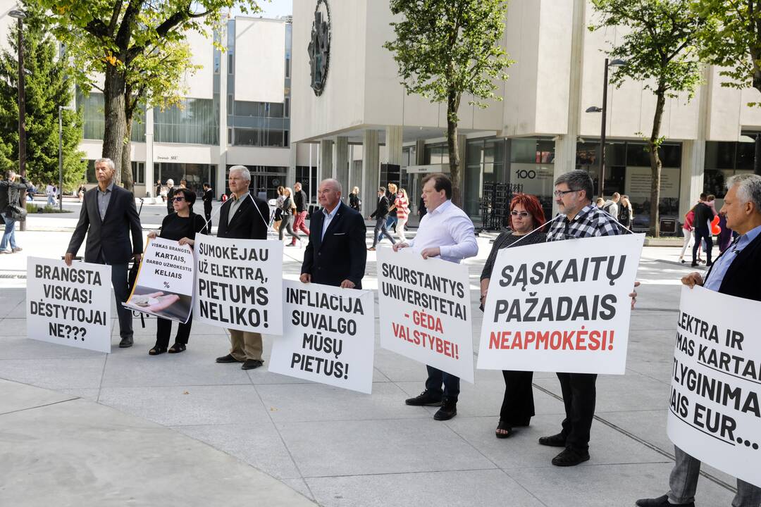 Lietuvos aukštųjų mokyklų profesinių sąjungų susivienijimo piketas