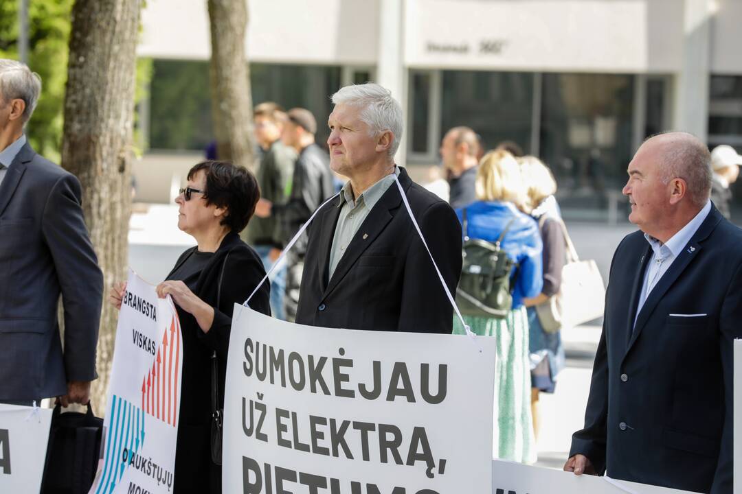Lietuvos aukštųjų mokyklų profesinių sąjungų susivienijimo piketas