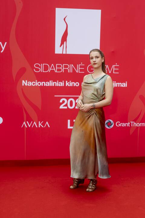 „Sidabrinė gervė 2024“ svečiai