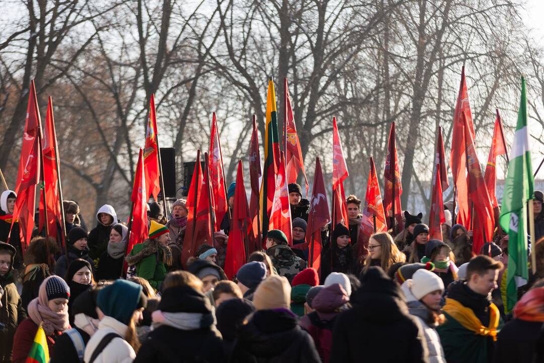 Vasario 16-osios jaunimo eisena „Lietuvos valstybės keliu“