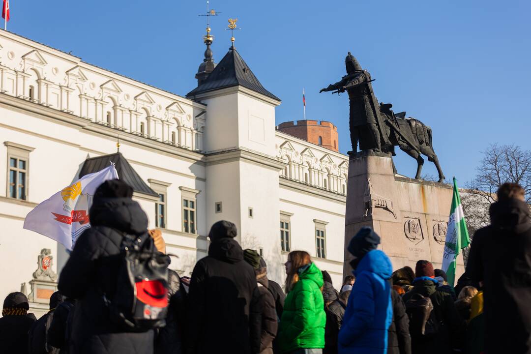 Vasario 16-osios jaunimo eisena „Lietuvos valstybės keliu“