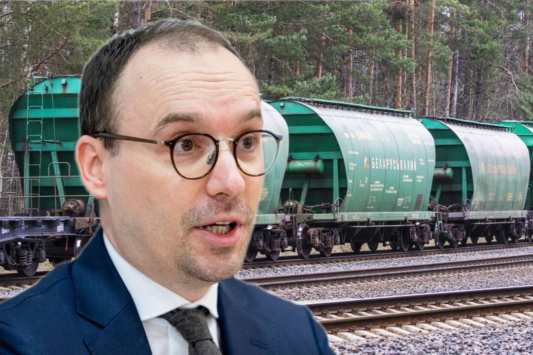 Matas Maldeikis