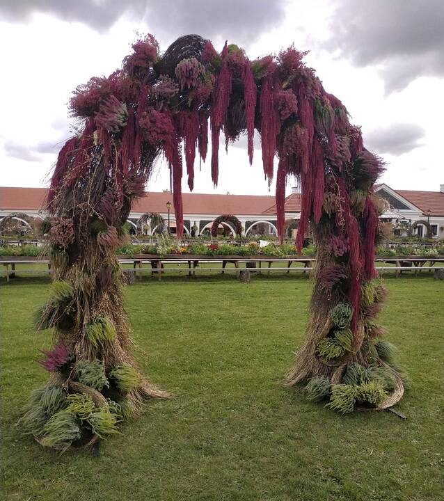 Įžvalgumas: "JG floristika ir dekoras" arka labiausiai atspindėjo gėlių festivalio tematiką.