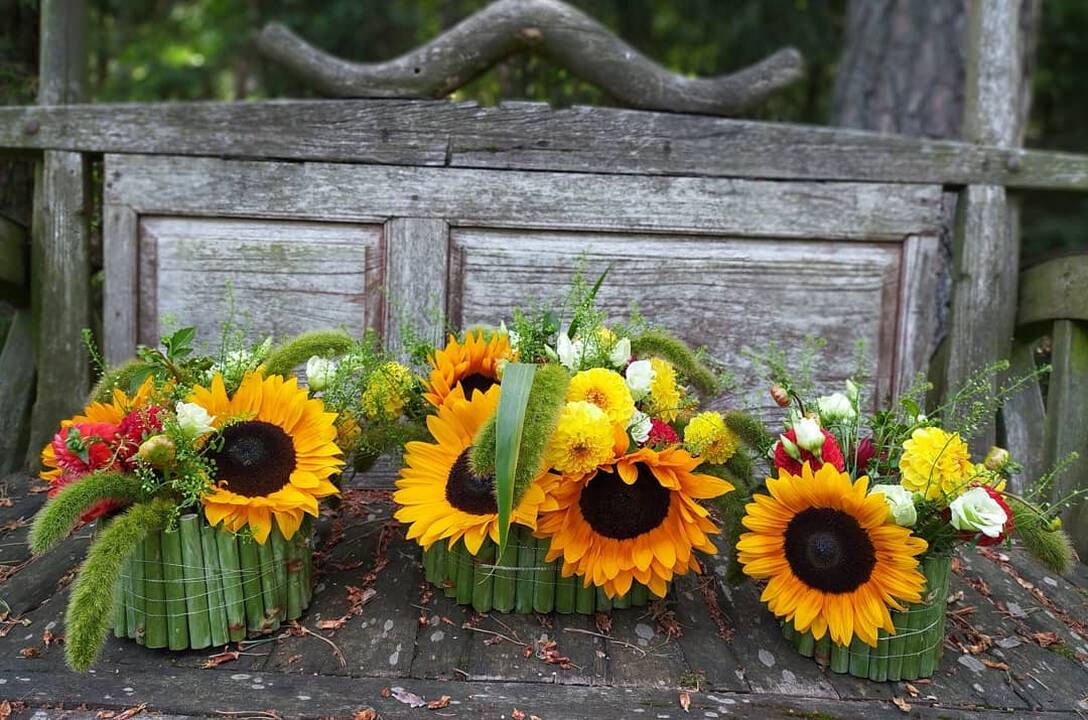 Įžvalgumas: "JG floristika ir dekoras" arka labiausiai atspindėjo gėlių festivalio tematiką.