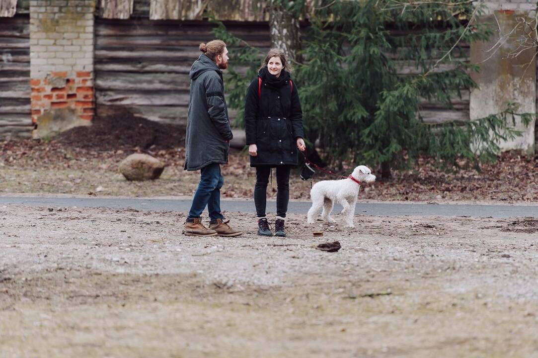 Šunų susitikimas prie Pažaislio vienuolyno