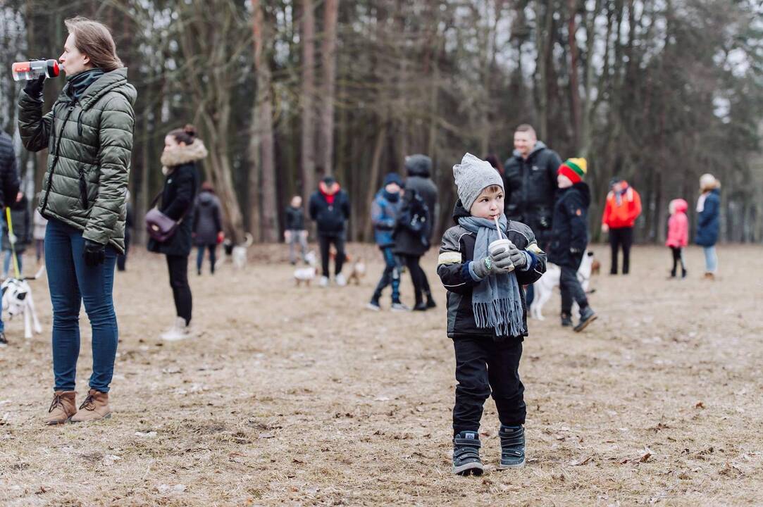 Šunų susitikimas prie Pažaislio vienuolyno