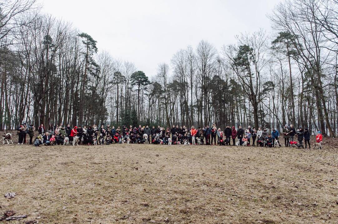 Šunų susitikimas prie Pažaislio vienuolyno