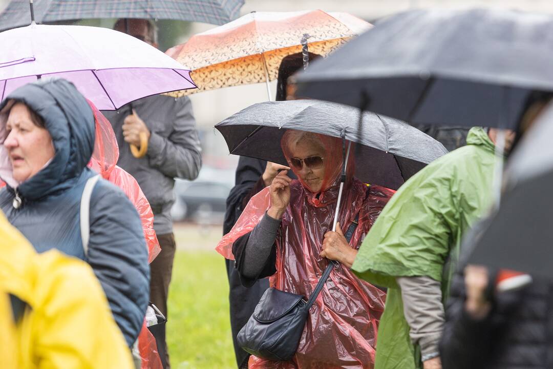 Šeimų sąjūdžio protestas prie Seimo