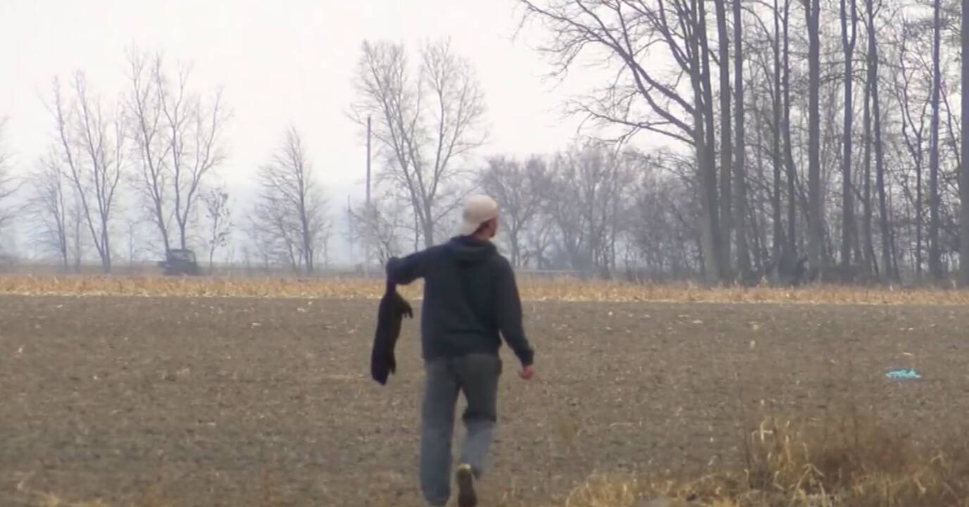 Gyvūnų teisių aktyvistai audines pasmerkė mirčiai: arba nudvės iš bado, arba bus iššaudytos