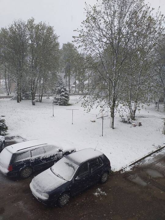 Kauniečių užfiksuotas sniegas gegužės 12-ąją