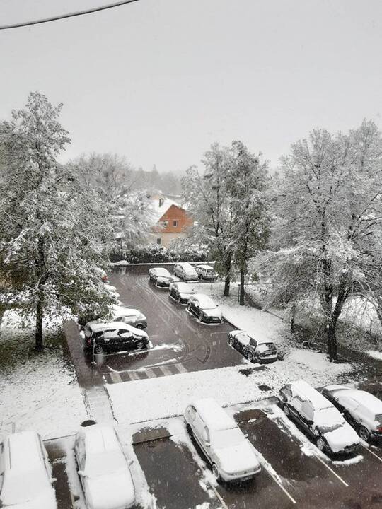 Kauniečių užfiksuotas sniegas gegužės 12-ąją