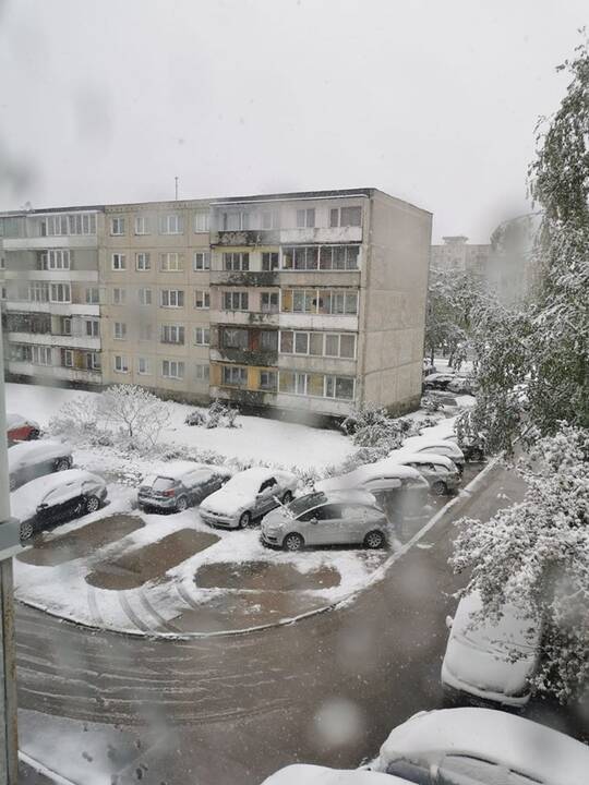 Kauniečių užfiksuotas sniegas gegužės 12-ąją