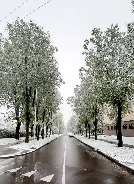 Kauniečių užfiksuotas sniegas gegužės 12-ąją