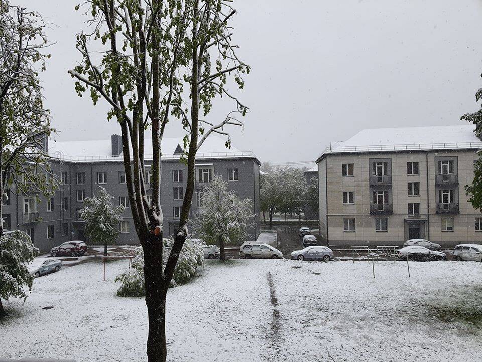 Kauniečių užfiksuotas sniegas gegužės 12-ąją