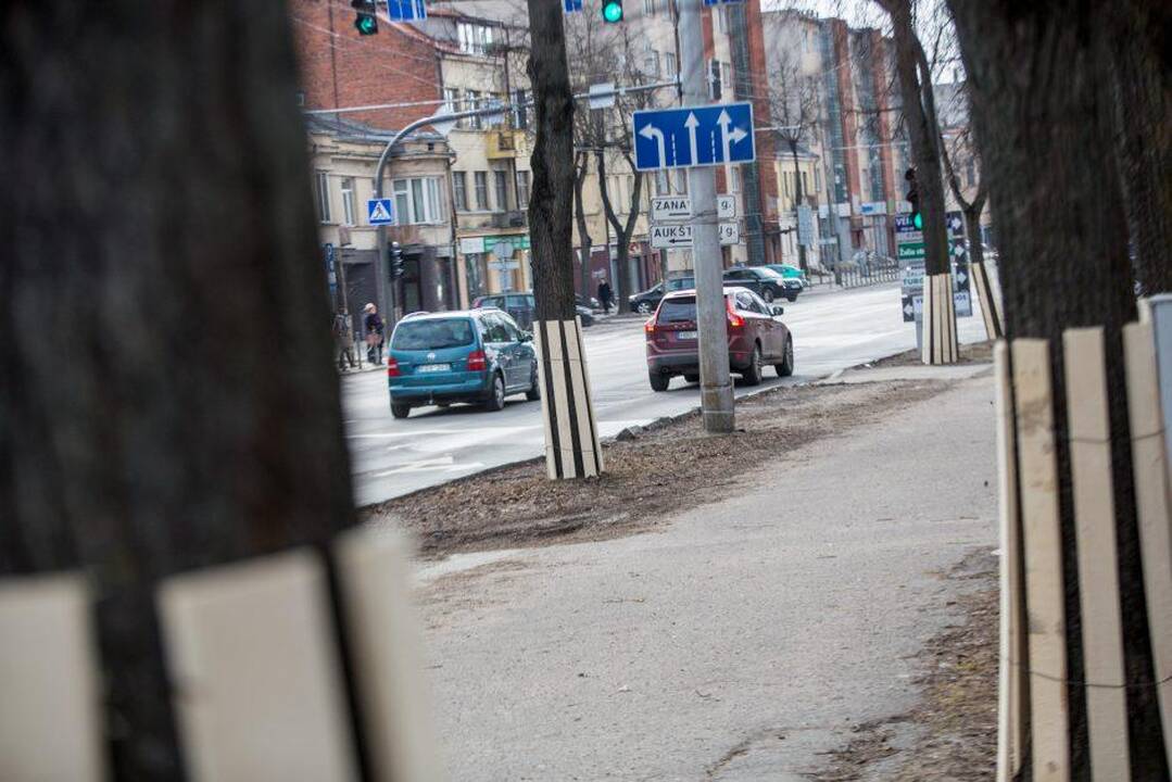 Žaliakalnio gatvėse – nauja eismo tvarka