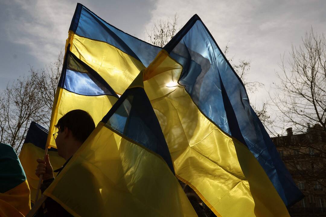 Kariuomenė: paliaubų palaikymui Ukrainoje Šveicarija galėtų pasiųsti 200 karių