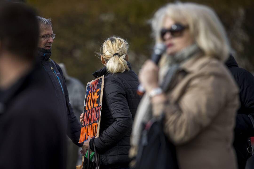 A. Astrauskaitės mitingas prieš pandemijos valdymą Vilniuje