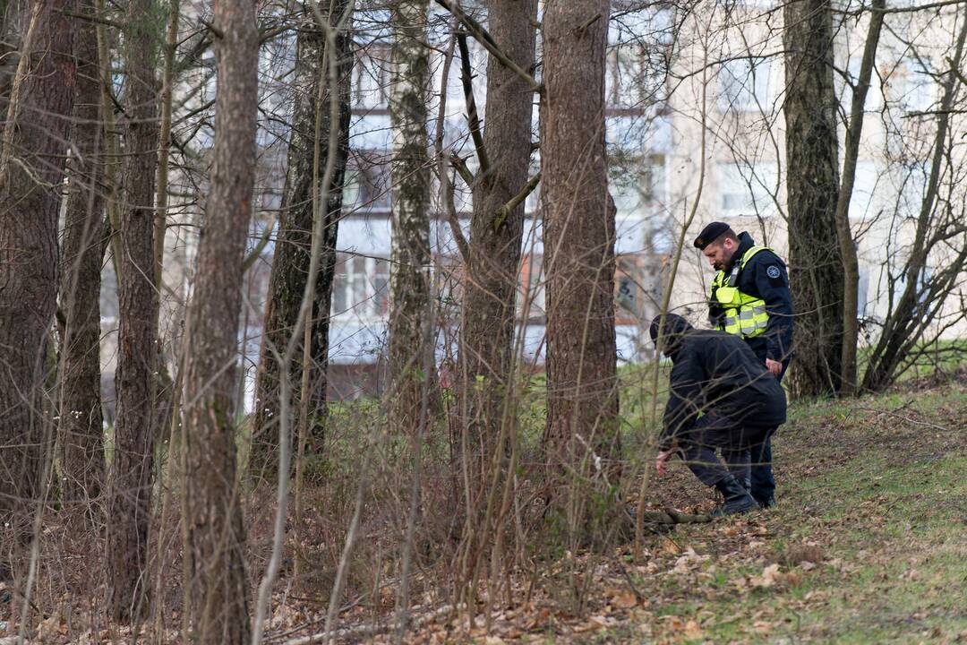 Galimai pagrobtos mergaitės paieška Vilniuje